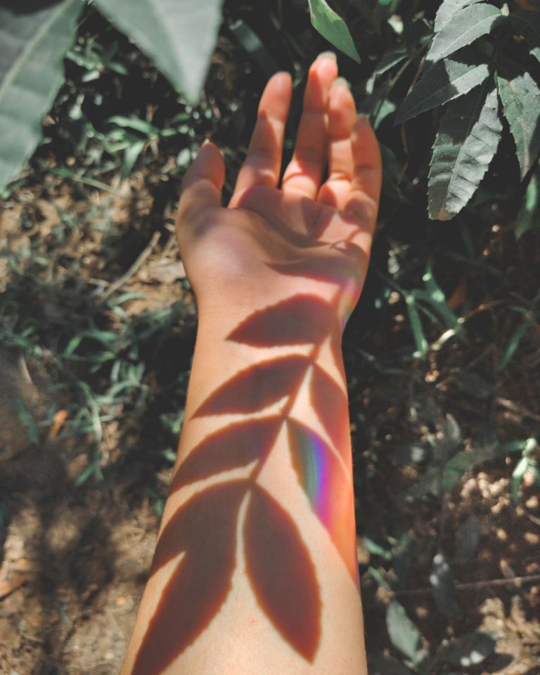 Sombra de una rama proyectada sobre un brazo iluminado por el sol, con un leve arcoíris visible; imagen tomada para Caminar Creciendo en Sevilla, ideal para transmitir conexión con la naturaleza.